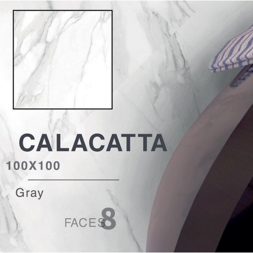 calacat_gray_8face_100100