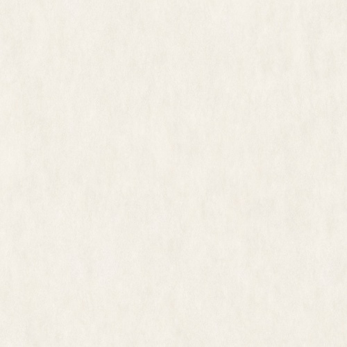 CN002 Bone - سرامیک بن CN-002 مات 120x120 - اسپینکر Spainker