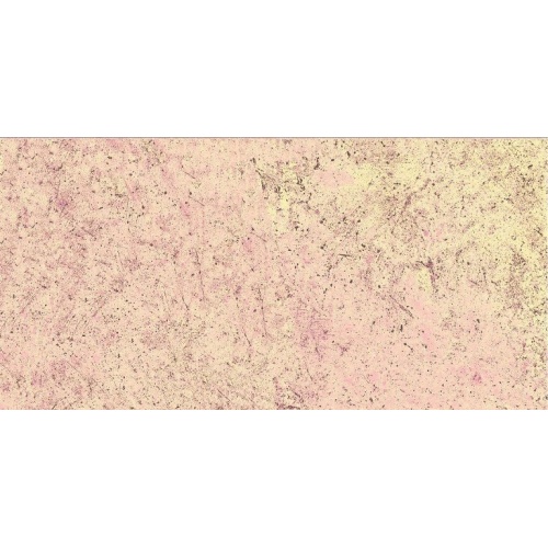 کوتو Cotto - سرامیک کوتو قرمز 695 - کاشی آسیا ASIA TILE