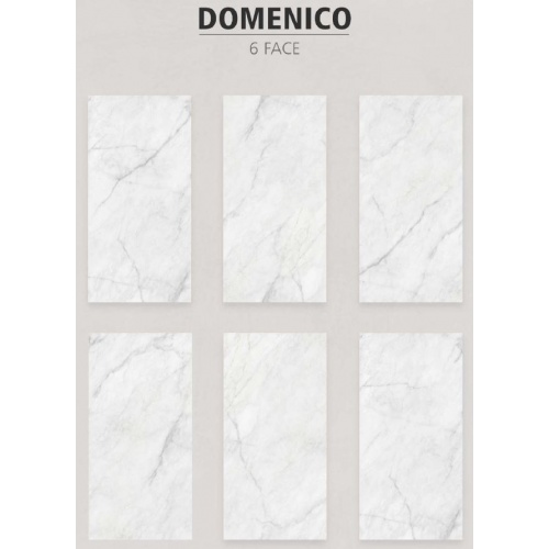 domenico_6_face