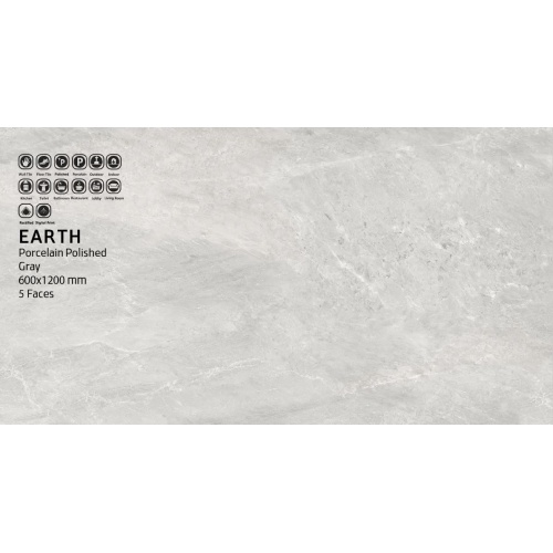 ارتس Earth - سرامیک ارتس مدل کار شده 60x120 - سینا کاشی SINA TILE