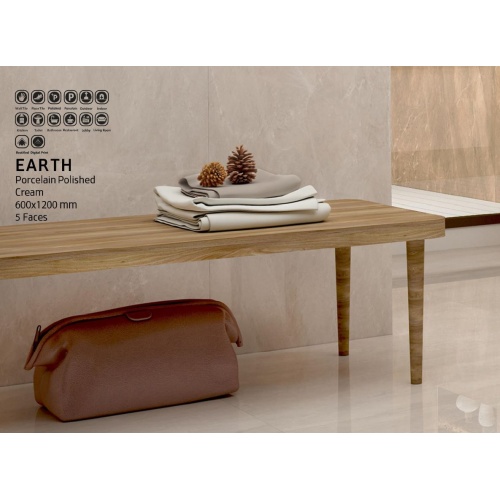 ارتس Earth - سرامیک ارتس مدل کار شده 60x120 - سینا کاشی SINA TILE