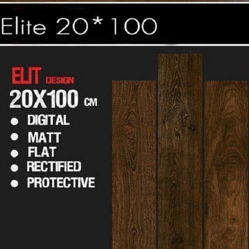 elit_20120