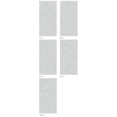 الیوین 4616 Elivin - سرامیک اسلب الیوین طوسی روشن مات مدل کارشده 80x160 - اسلب ورونزو Veronzo