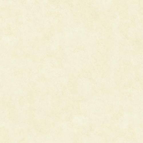 ema-bony_60_60