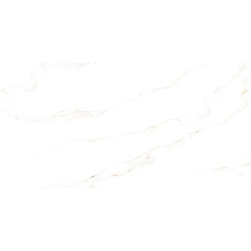 فونیکس Fownix - سرامیک فونیکس استخوانی مدل کار شده 80x160 - کاشی پارس