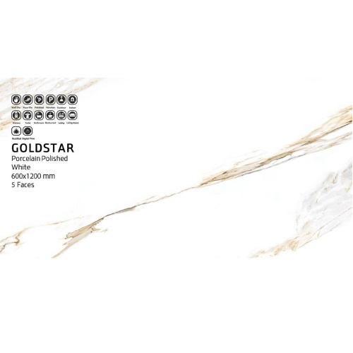 گلد استار Gold Star - سرامیک گلداستار پولیش 60x120 - سینا کاشی SINA TILE