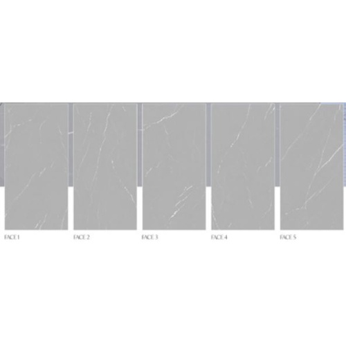 Infinity Gray 5602 - سرامیک اسلب اینفینیتی طوسی پولیش مدل کارشده 80x160 - اسلب ورونزو Veronzo