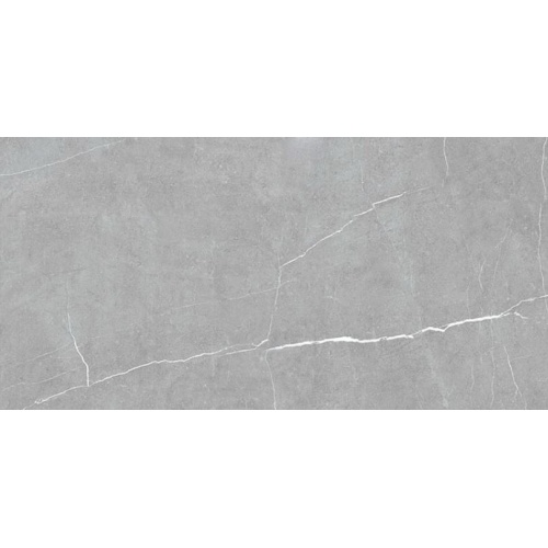 لاریسا Larisa - سرامیک لاریسا طوسی مات 60x120 - کاشی سرام نگار Ceram Negar