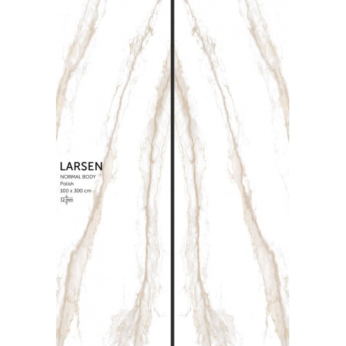 larsen_book_match