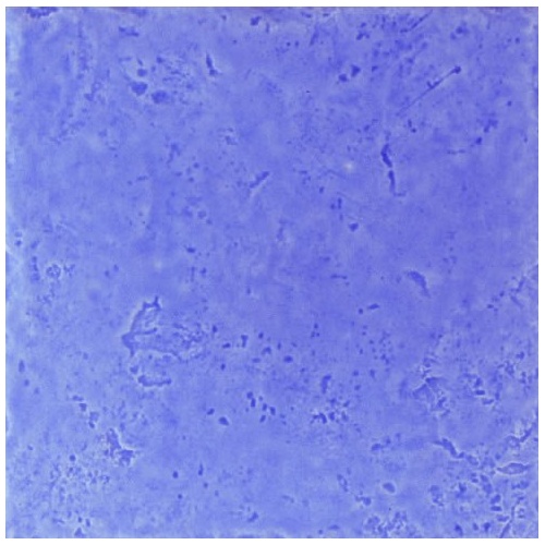 کاشی ایکات بنفش - سرامیک البرز     ALBORZ CERAMIC
