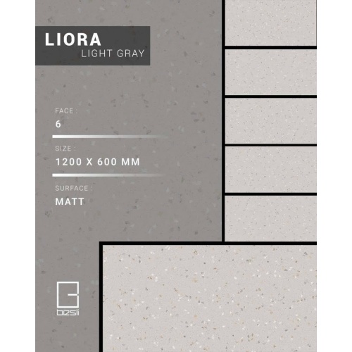 Liora Light Gray - سرامیک لیورا طوسی روشن مات 60x120 - سرامیک بسلی Besli