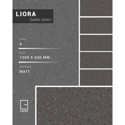 Liora Dark Gray - سرامیک لیورا طوسی تیره مات 60x120 - سرامیک بسلی Besli