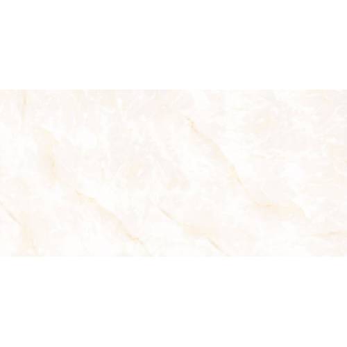 magna_60_120