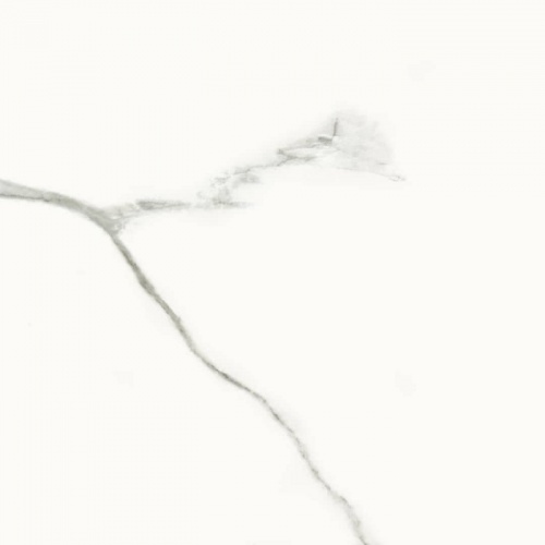 memoriswhite3