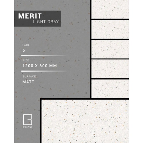 Merit Light Gray - سرامیک مریت طوسی روشن مات 60x120 - سرامیک بسلی Besli