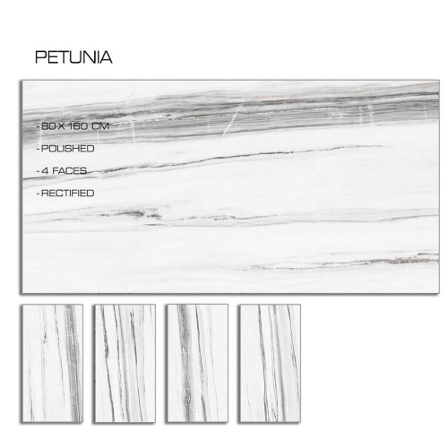petunia_2