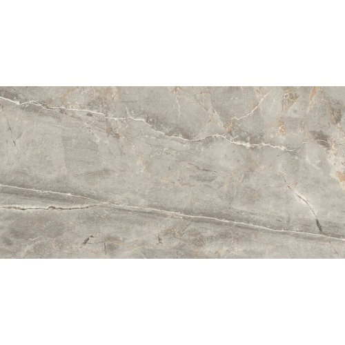 7929 Alexia Light Gray - الکسیا طوسی روشن مات 80x160 - کاشی میلان