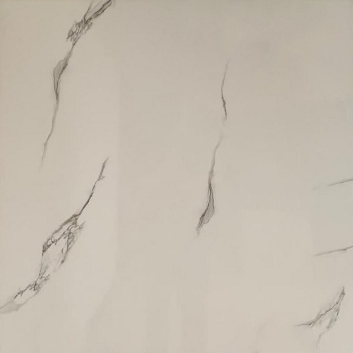 راجا Raaja - سرامیک راجا براق 80x80 - کاشی و سرامیک دی Day Tile