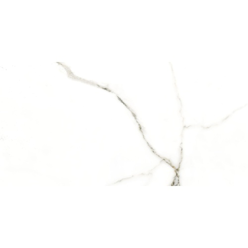 4410 ranis - سرامیک رانیس پولیش مدل کارشده 60x120 - کاشی میلان