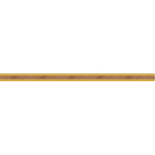 rayanborder