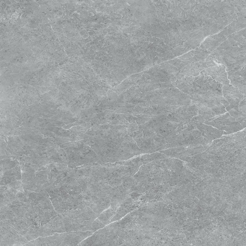  5810 Regina Dark Gray - سرامیک رجینا طوسی تیره مات مدل کارشده 40x40 - کاشی میلان