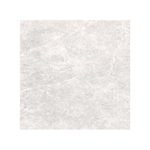 6811 Rejina Light Gray- سرامیک رجینا طوسی روشن مات 60x60 - کاشی میلان
