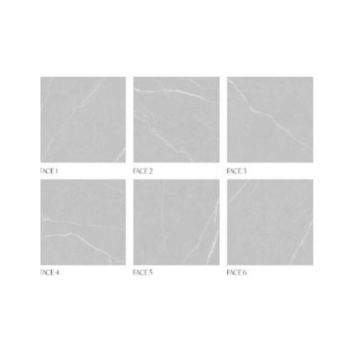 Renit Light Grey 4100 - سرامیک رنیت طوسی روشن مات 60x60 - سرامیک ورونزو Veronzo