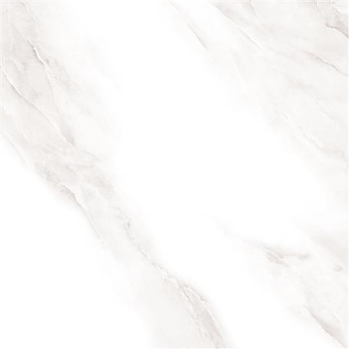 شاین Shine - سرامیک شاین سفید مدل کار شده - سینا کاشی SINA TILE