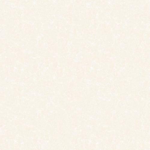 silver01