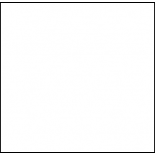 white_1147014308