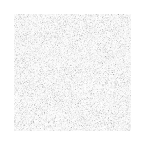 سرامیک ضد اسید WKK1010 مات 80x80 - سرامیک زیرو شرکت کاشی تکسرام