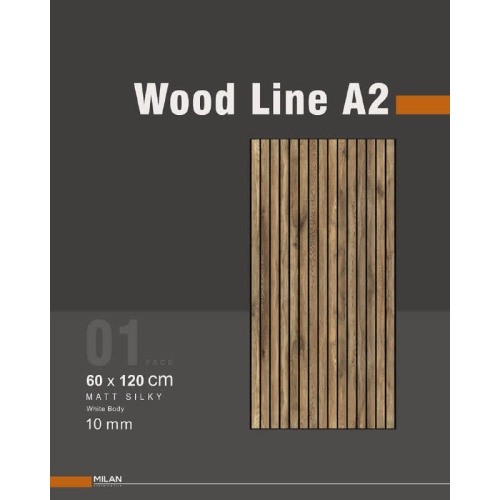 2160 Wood Line A2 - سرامیک وود لاین A2 مات 60x120 - کاشی میلان