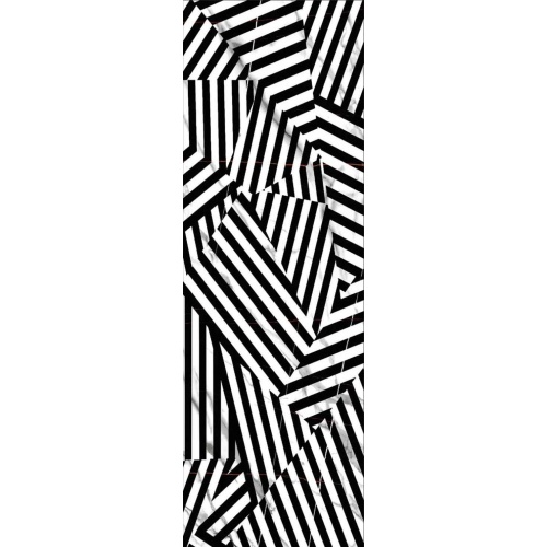 zebra1