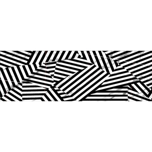 zebra_2