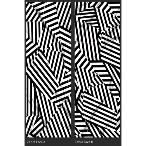 zebra_2_face