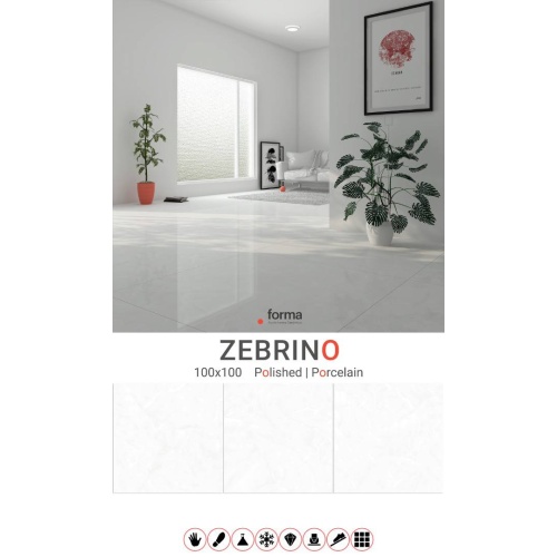 zebrino_1