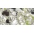 amazonit_green_2