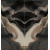 monte_black_1581650417