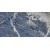 morpho8254