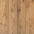 پاین Pine - سرامیک پاین تیره 60x60 - کاشی آرین سرام Arian Ceram