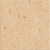 سنیا Senya - سرامیک سنیا کرم مات 30x30 - سینا کاشی